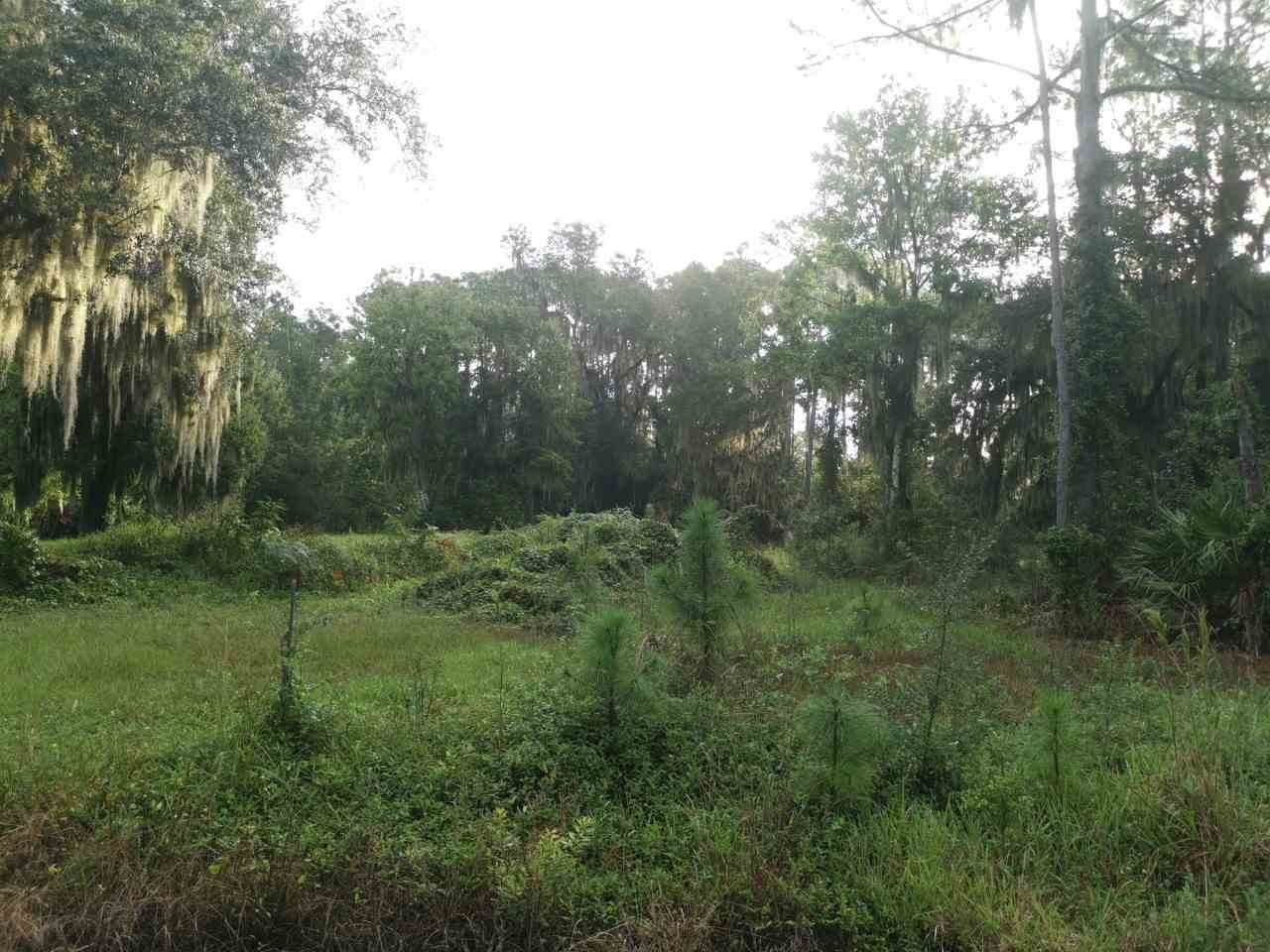 0 County Road 13 - Photo 1