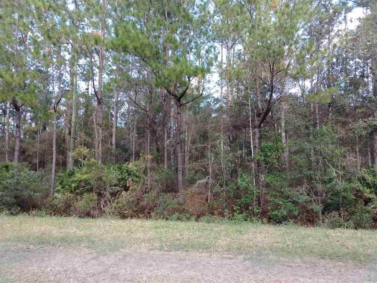 4440 Palatka Blvd - Photo 1