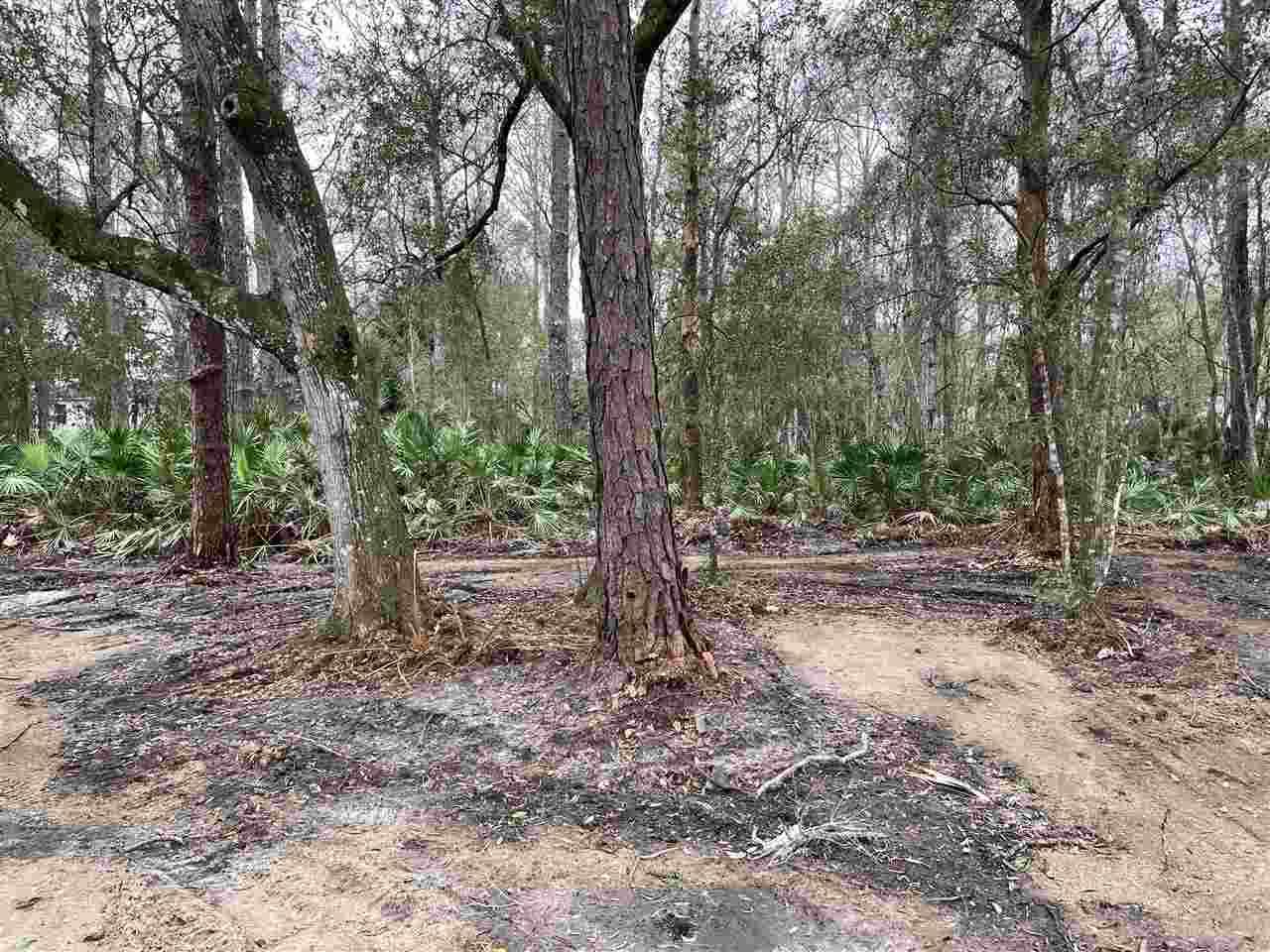 1165 King St Ext - Photo 1
