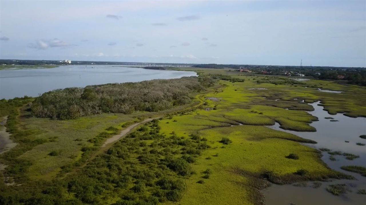 Intracoastal Island - Photo 1