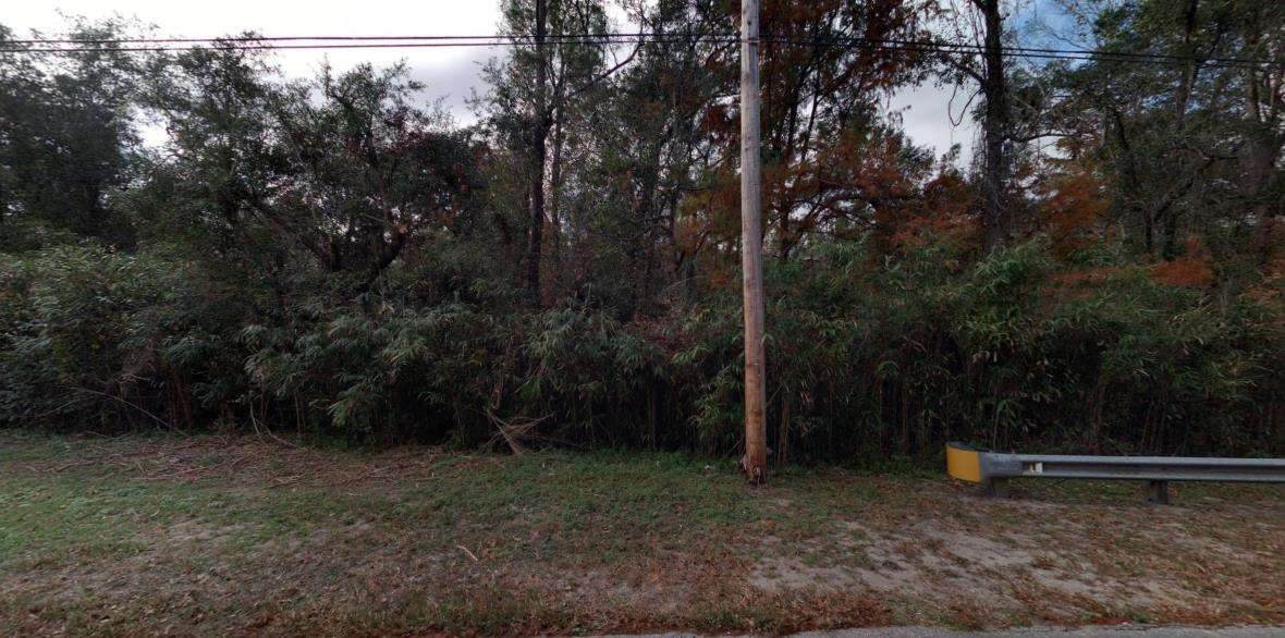 1015 Wildwood Drive - Photo 1