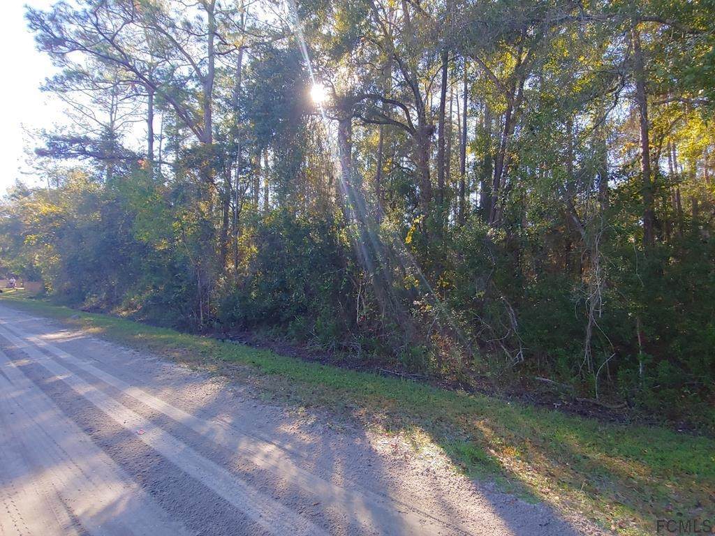 1386 Honeytree Street - Photo 1