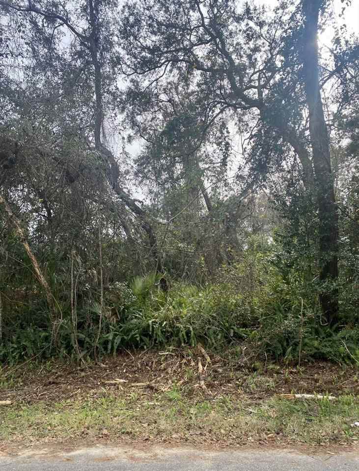 0 Martin Road - Photo 1