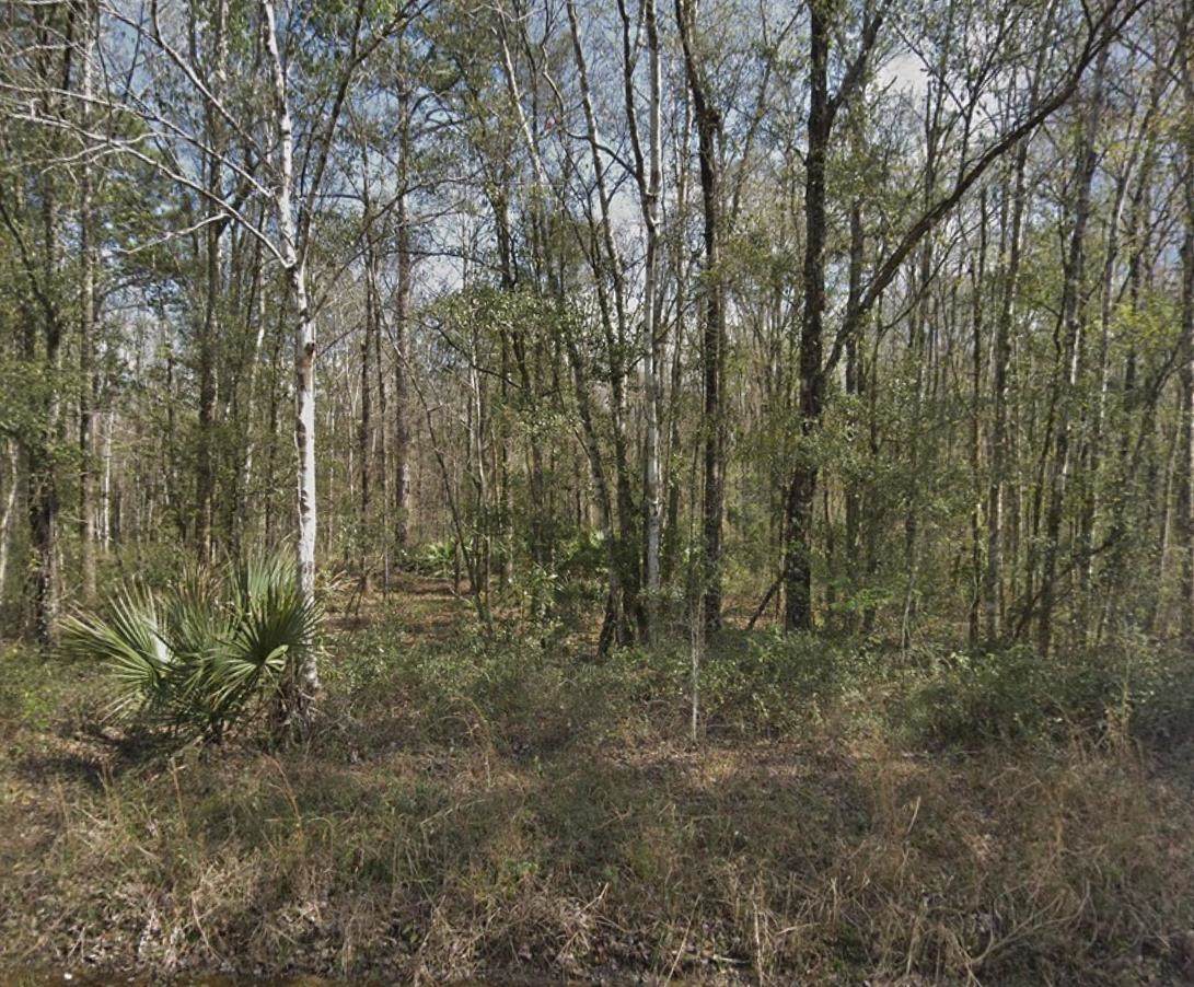 10130 Weatherby Avenue - Photo 1