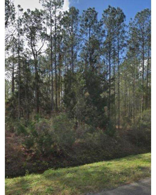 4345 Vicki St - Photo 1