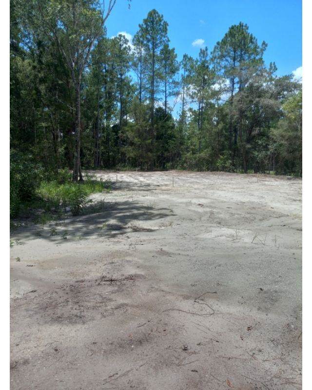 4515 Palatka Blvd - Photo 1
