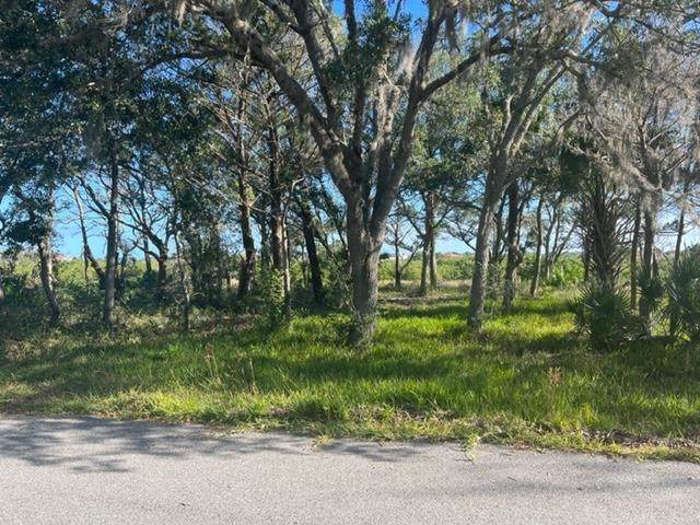 223 Pelican Reef Dr - Photo 1
