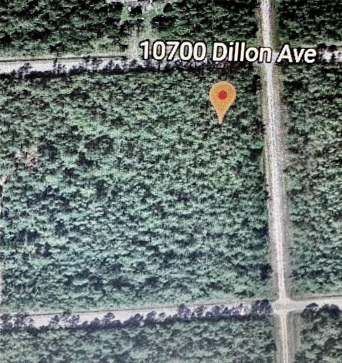 10700 Dillon Ave - Photo 1