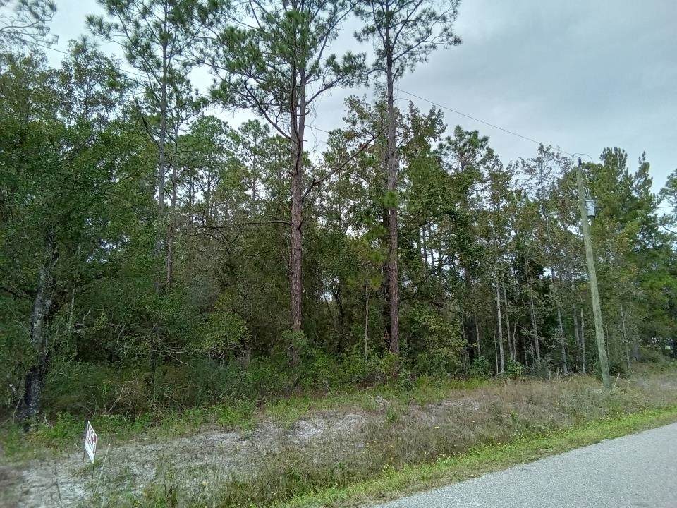 10115 Light Ave - Photo 1