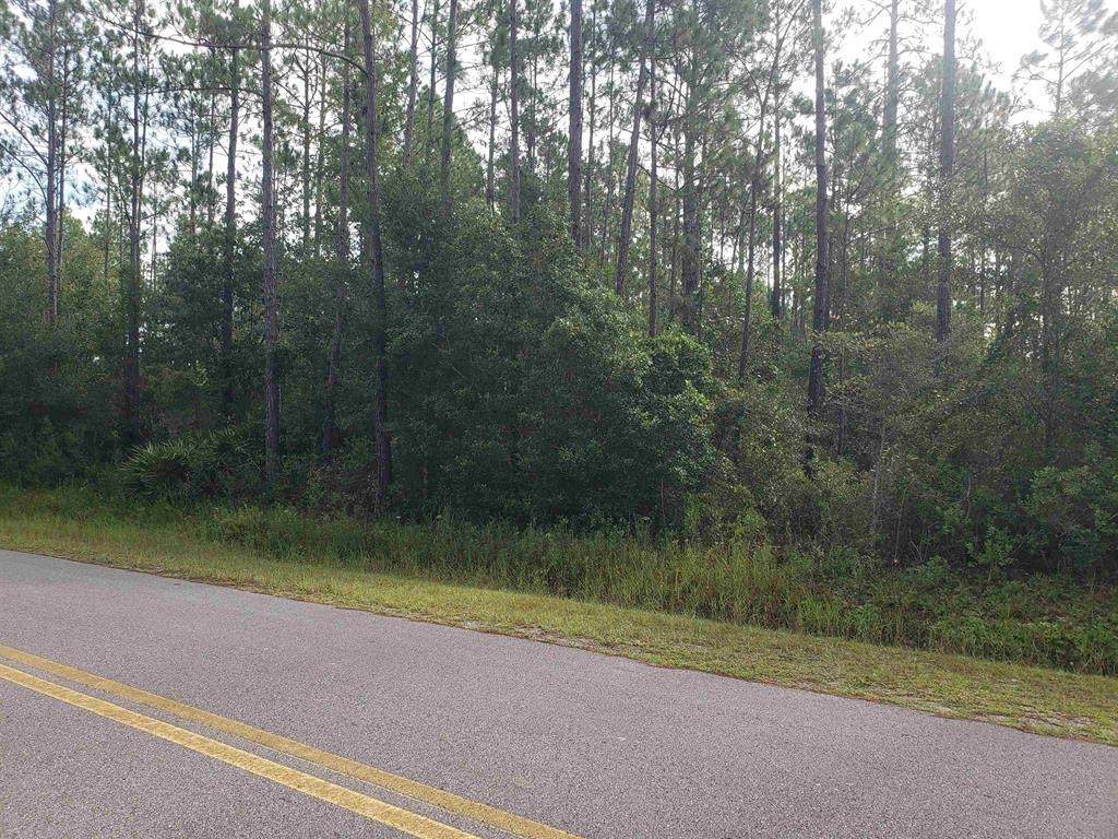 9720 Dillon - Photo 1