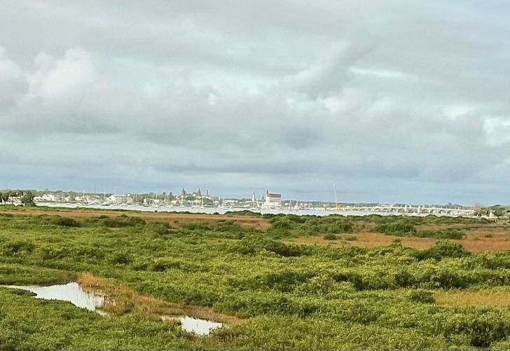 124 Spartina Avenue - Photo 1