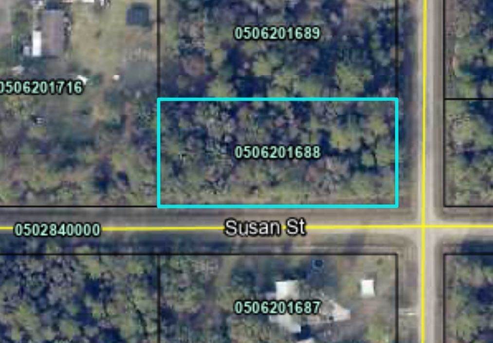 10175 Nikolich Ave - Photo 1
