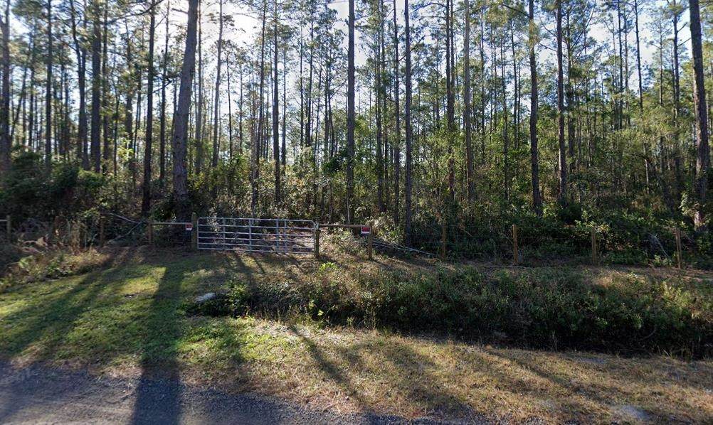 10255 Dillon Ave - Photo 1