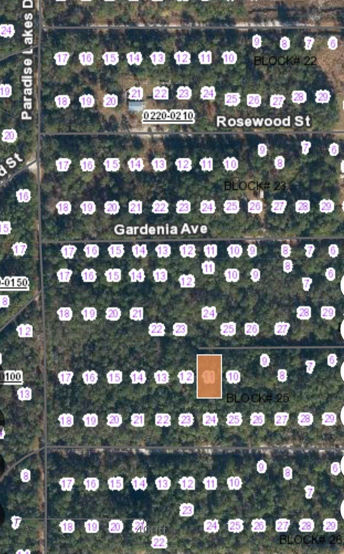 113 Palm Way - Photo 1