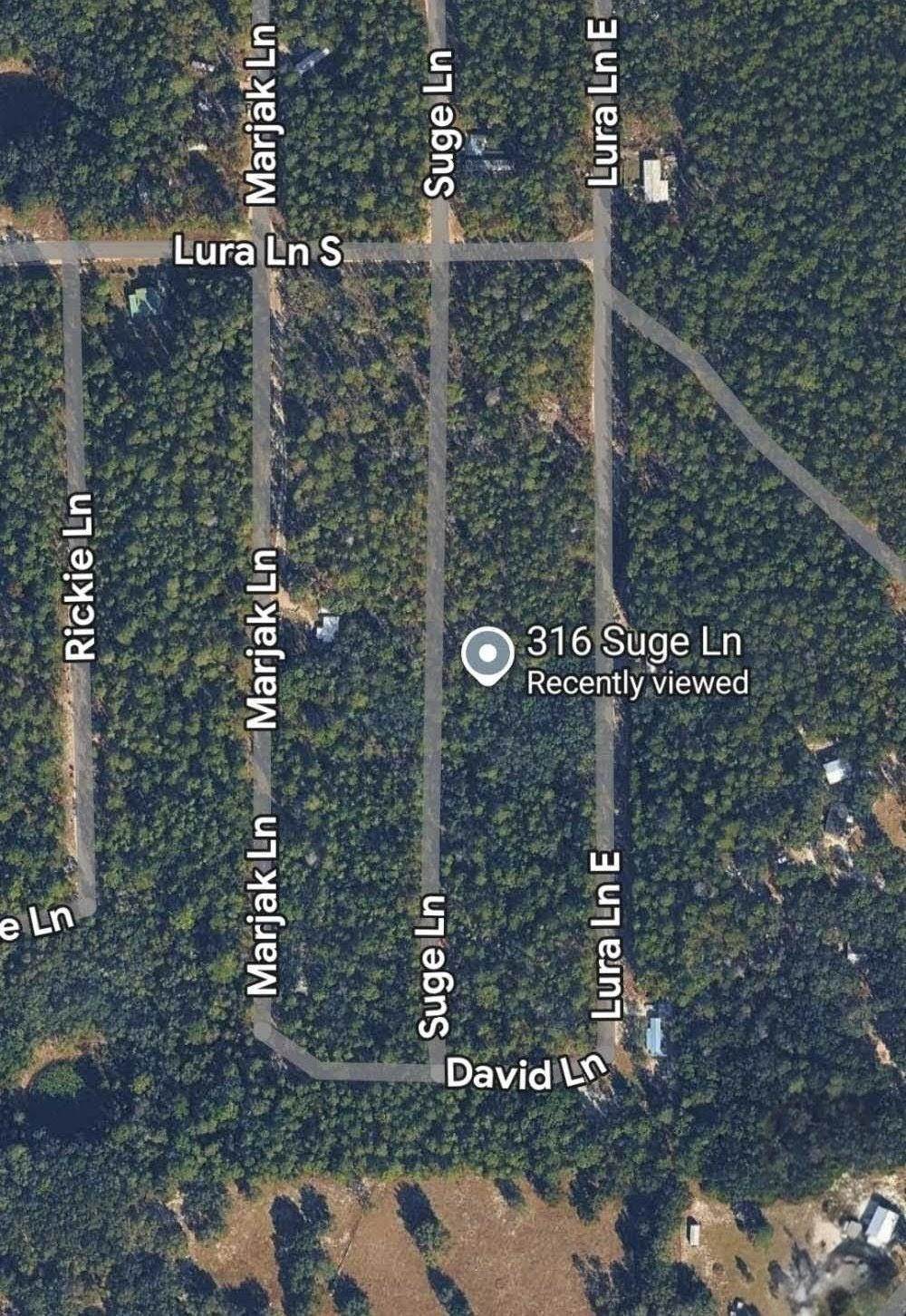 316 Suge Ln - Photo 1