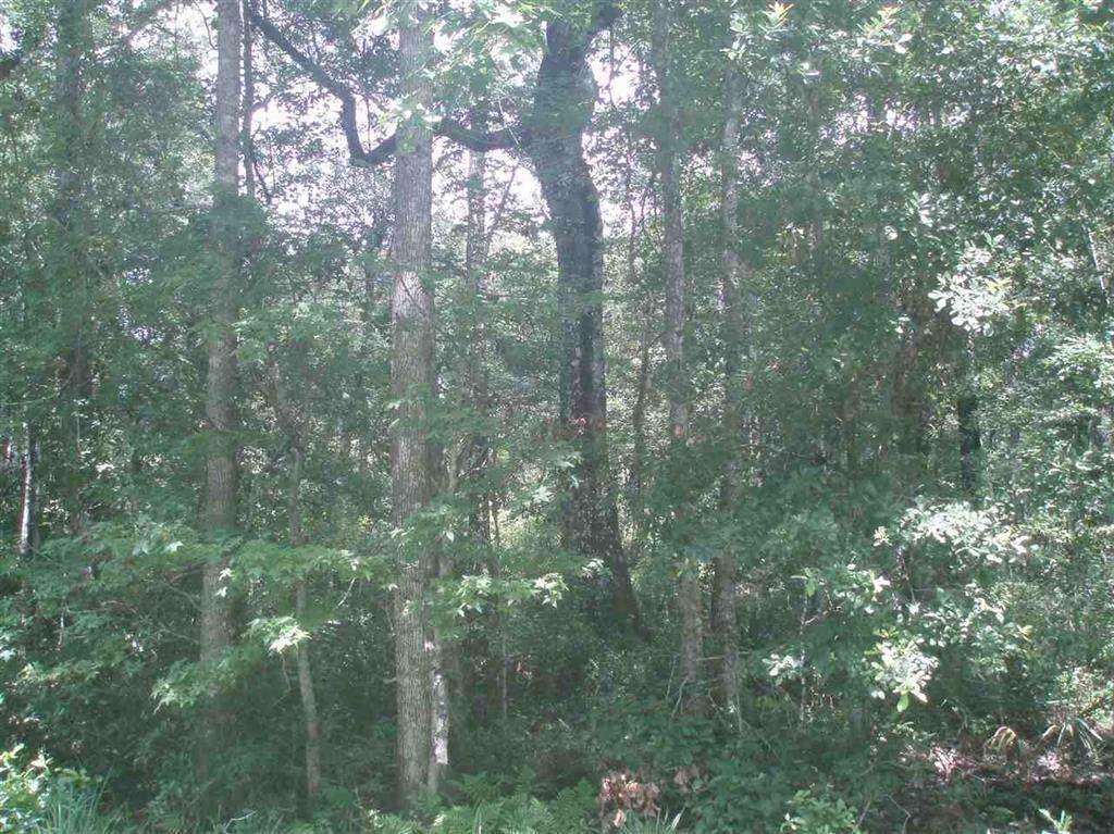 10685 Vaughan Ave - Photo 1