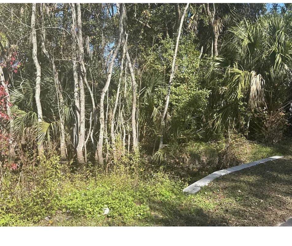 0 Collier Blvd - Photo 1