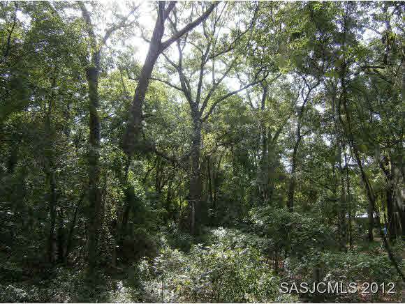 9750 Us Hwy 1 N - Photo 1