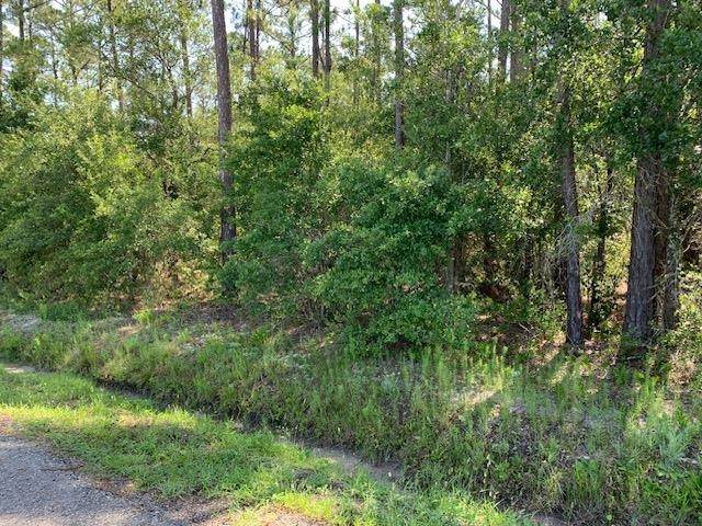 10040 Isaacson Ave - Photo 1