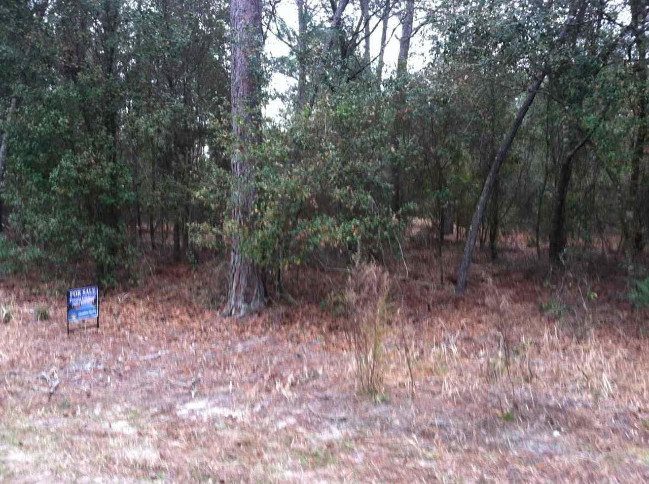 5497 Laredo - Photo 1