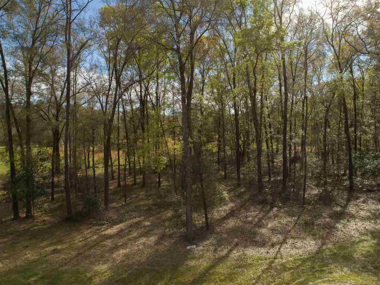 21503 216th Lane (Lot 4) - Photo 1
