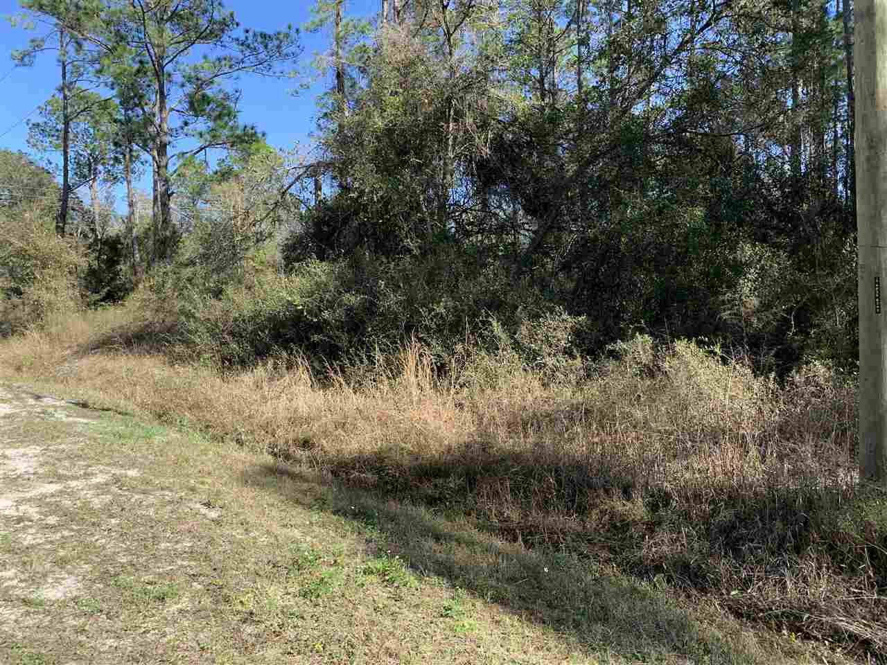 10400 Hennessey Ave., Hastings 32145 - Photo 1