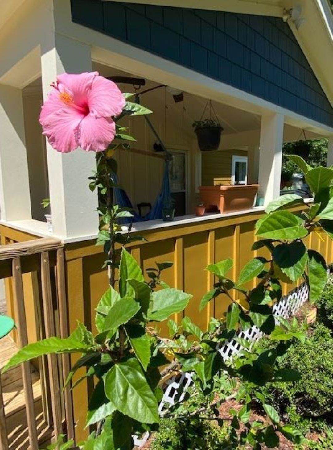 3125 Pacetti Rd A & B - Photo 1
