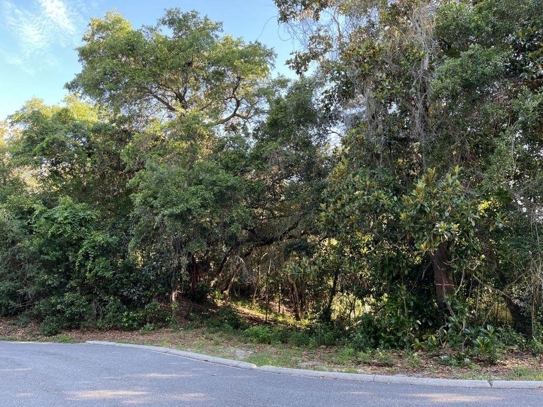 416 Night Hawk Ln - Photo 1