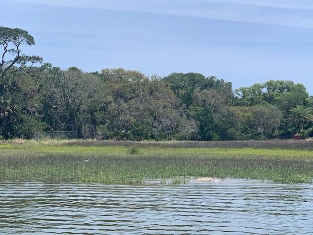801 Griffin Shores Dr - Photo 1