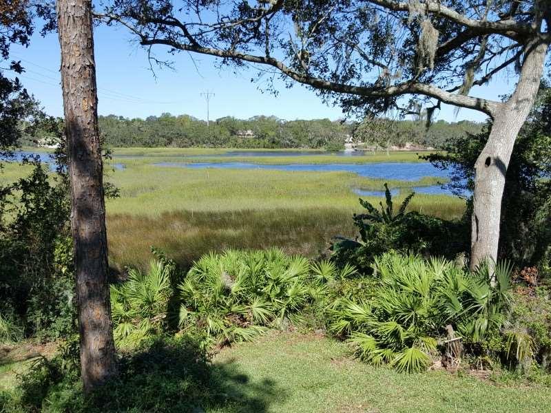 3817 Magnolia Point Lane - Photo 1