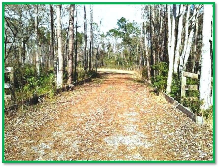6350 County Road 208 - Photo 1