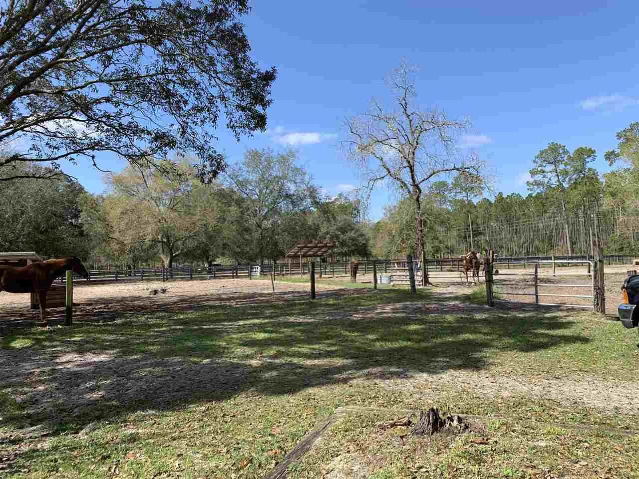 3915 County Road 210 - Photo 1