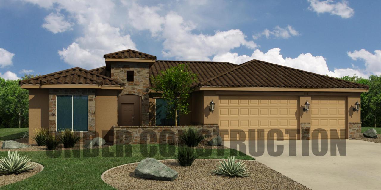1131 Blue Wren Dr - Photo 1