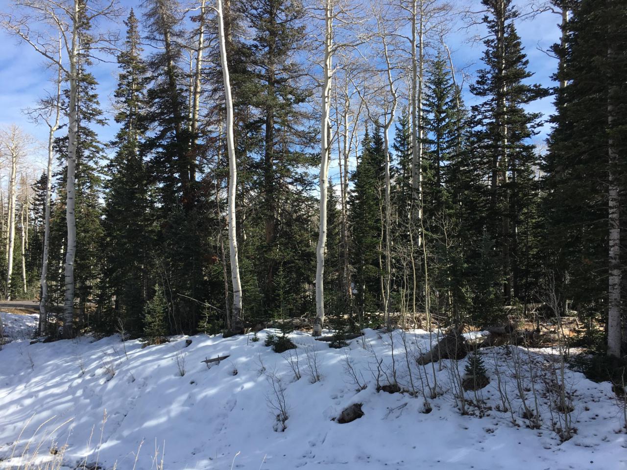 369 Trails At Navajo - Photo 1
