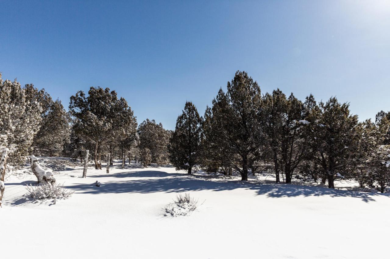 30 Acres Near Mt Carmel - Photo 1