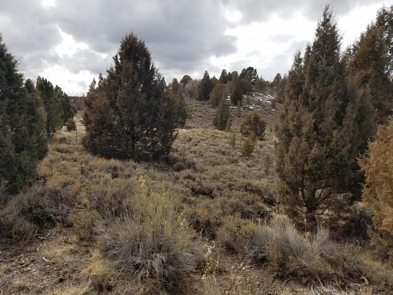 Lot 12-B Havsupai Dr - Photo 1