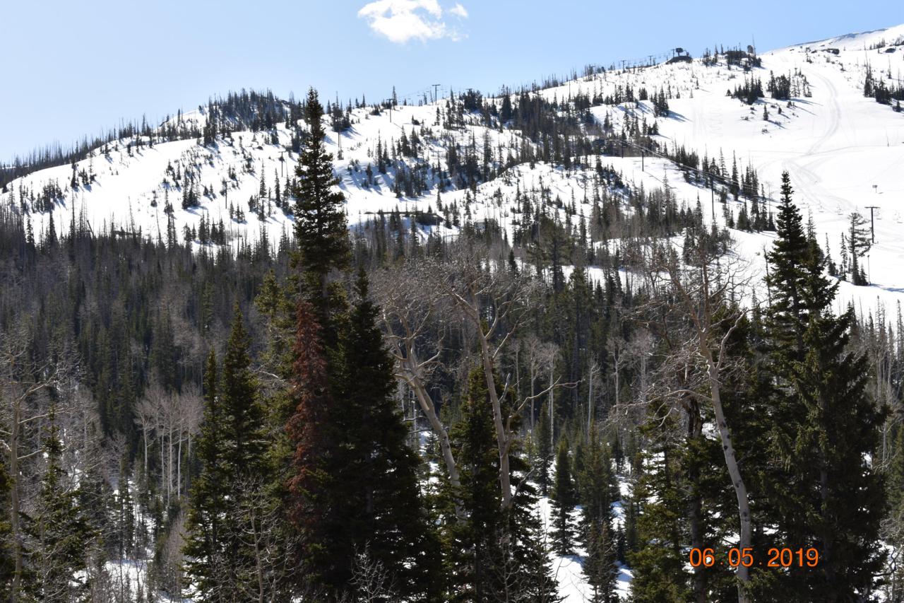 226 Hwy 143 Chalet Village - Photo 1
