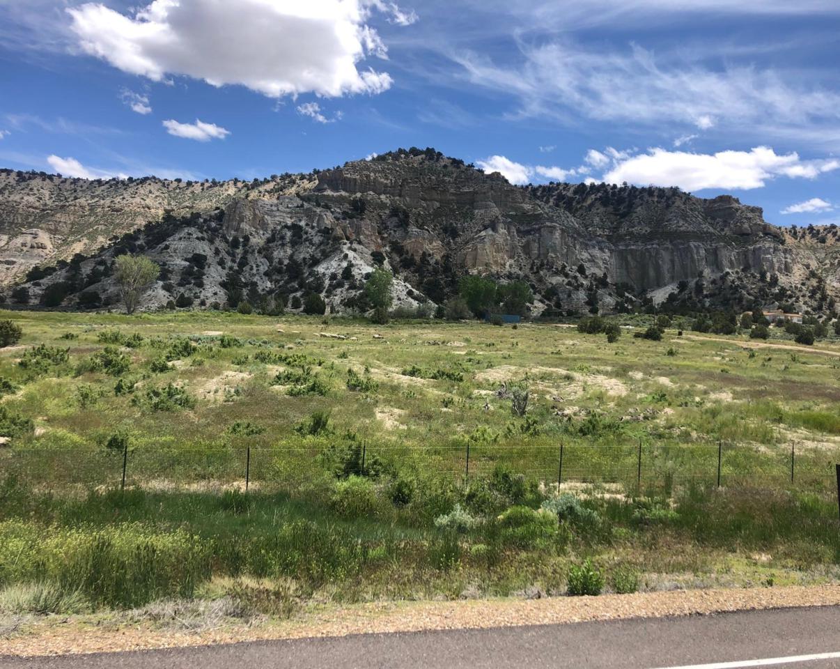 204 N Highway 12 - Photo 1