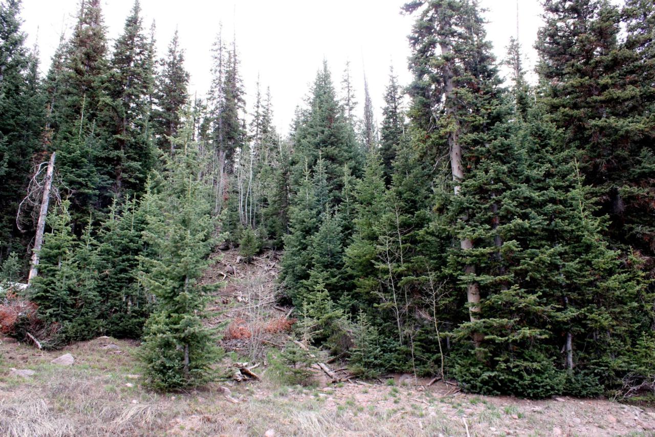 167 Gurr Well Rd - Photo 1
