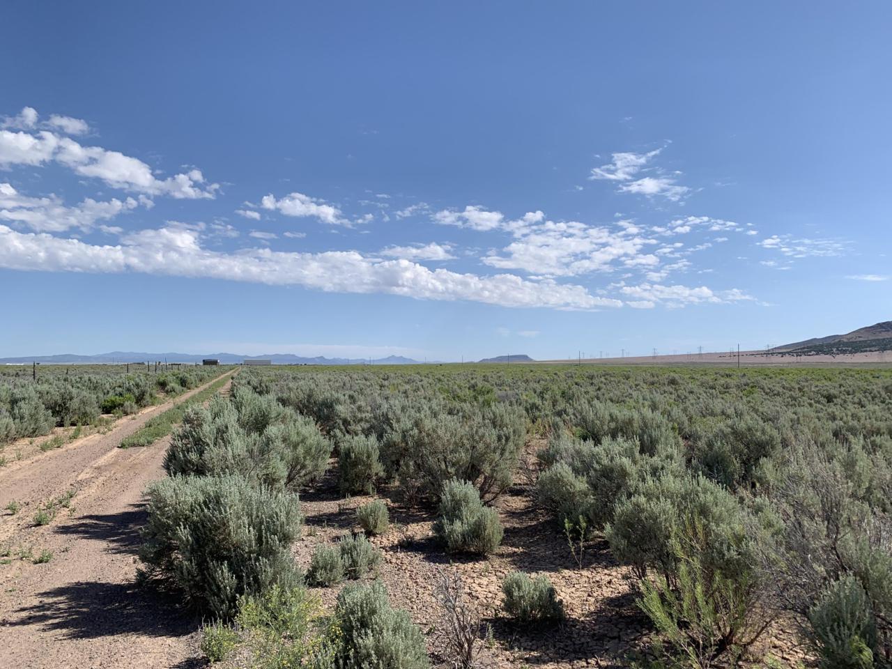 5.06 Acres On 1000 E (Lot 3H) - Photo 1