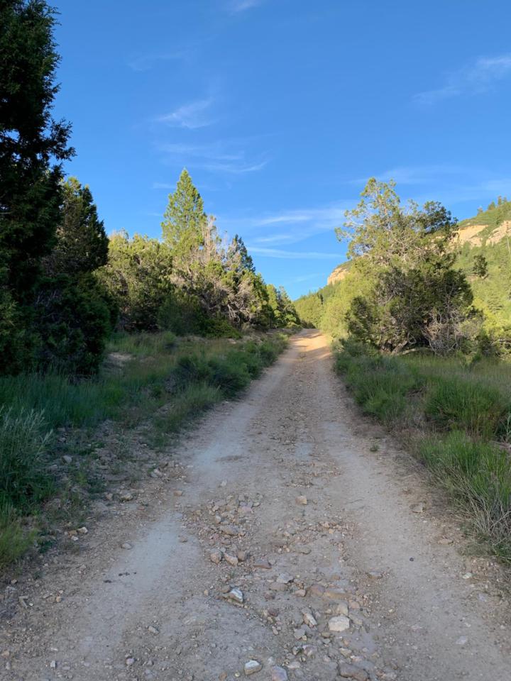 Hay Canyon Rd - Photo 1