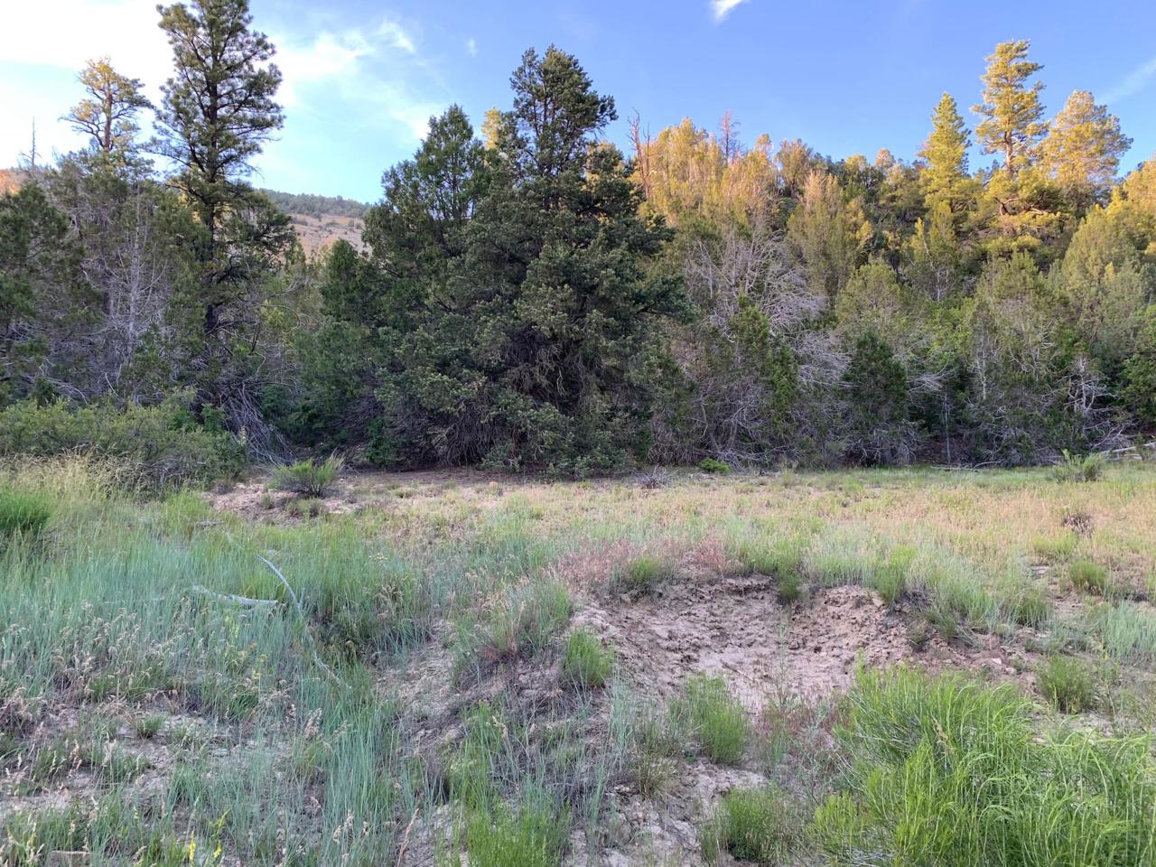 Hay Canyon Rd - Photo 1