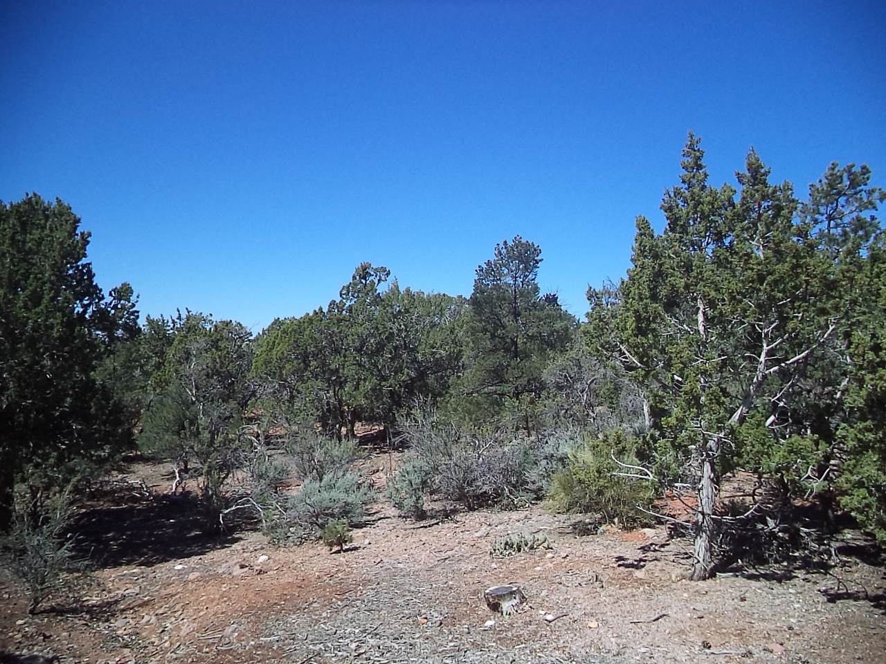 61 Sundance Kid Trail - Photo 1