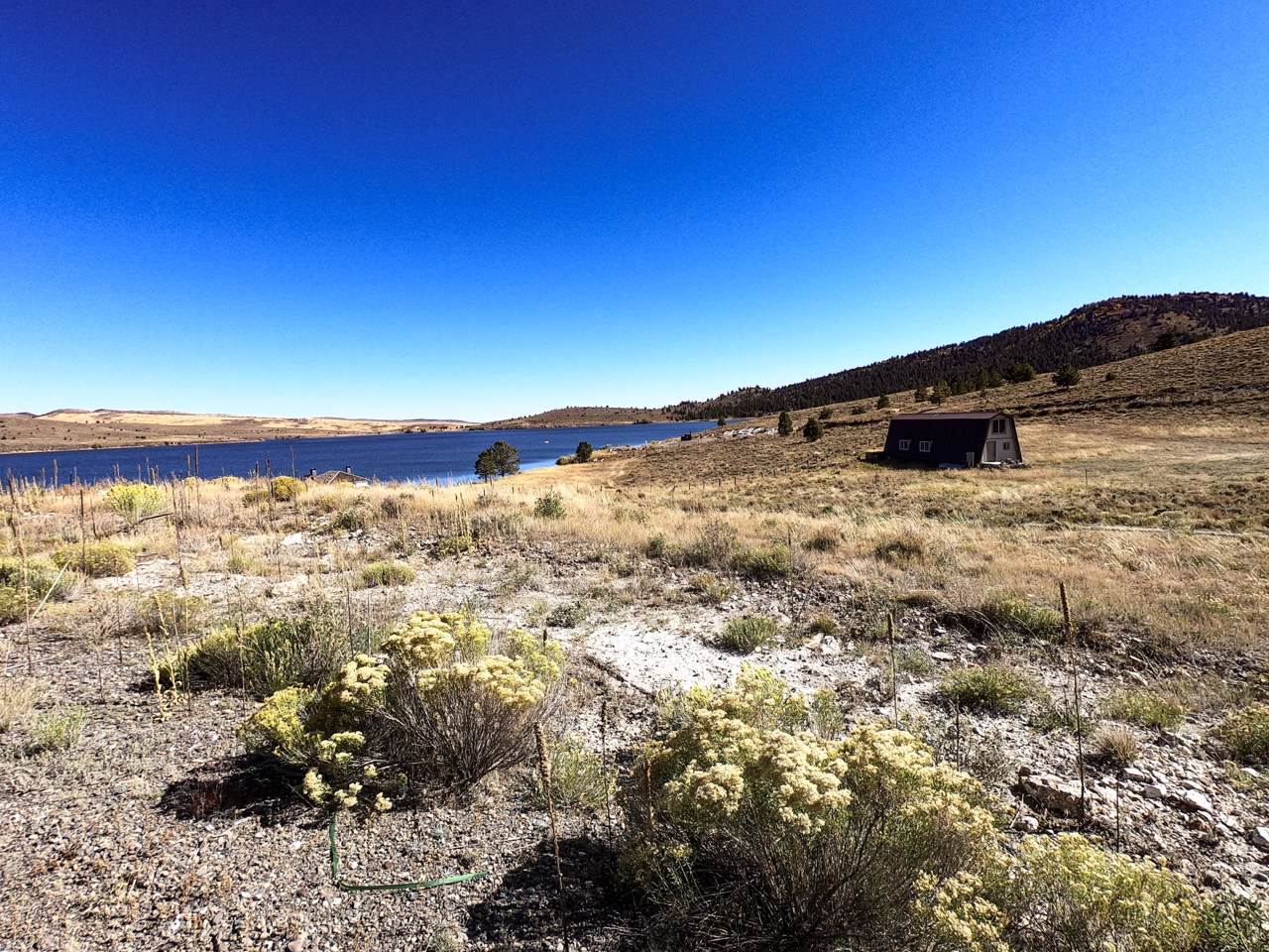 783 Castaway Drive - Photo 1