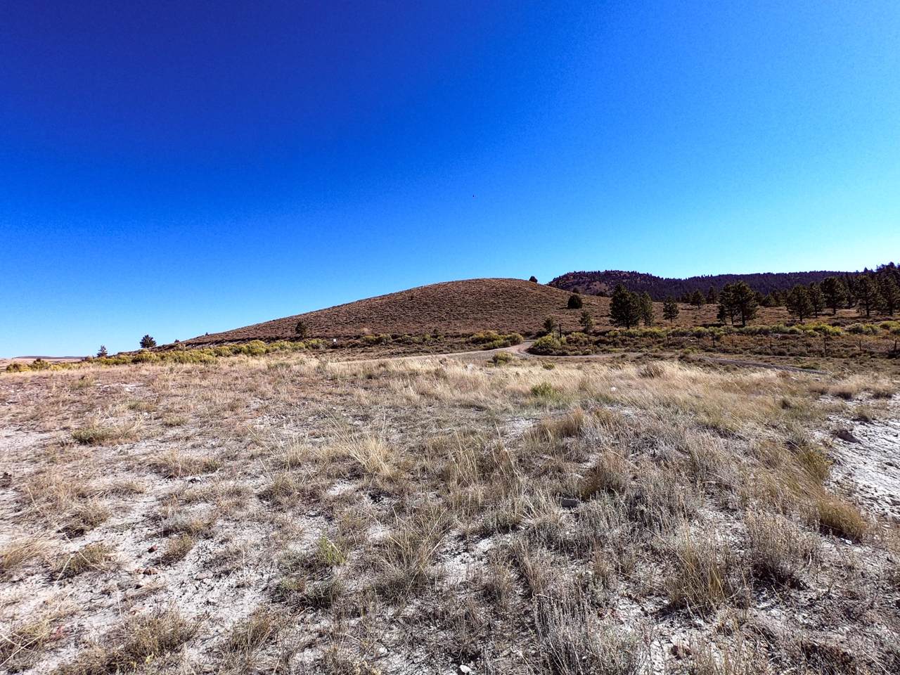 778 Reel Road - Photo 1