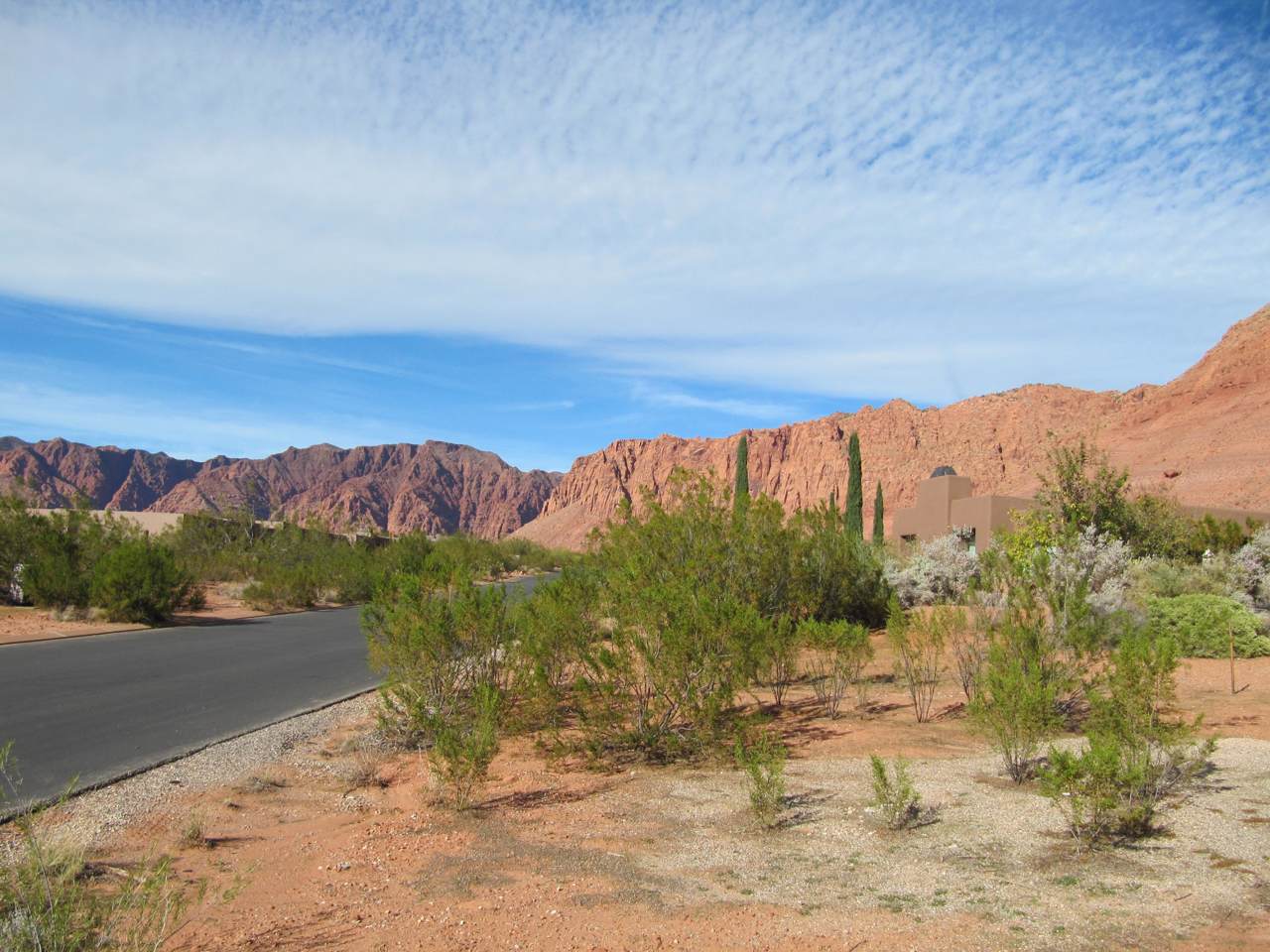 Bur Sage Trail - Photo 1
