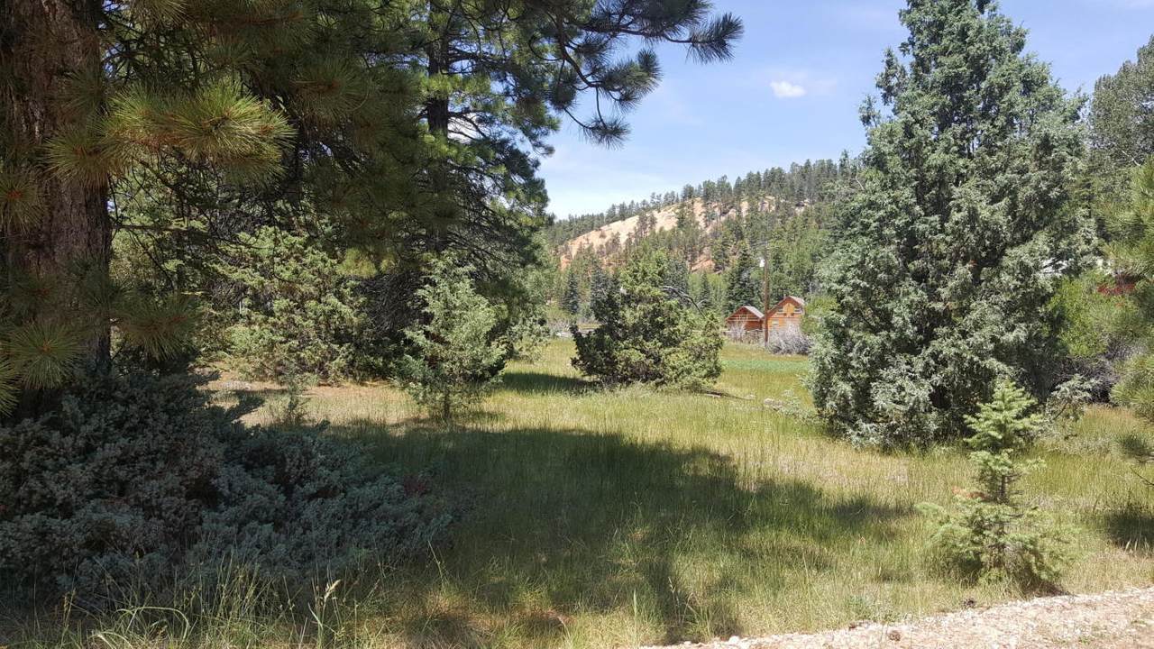 441, 411 Mammoth Creek Rd - Photo 1 441, 411 Mammoth Creek Rd - Photo 1