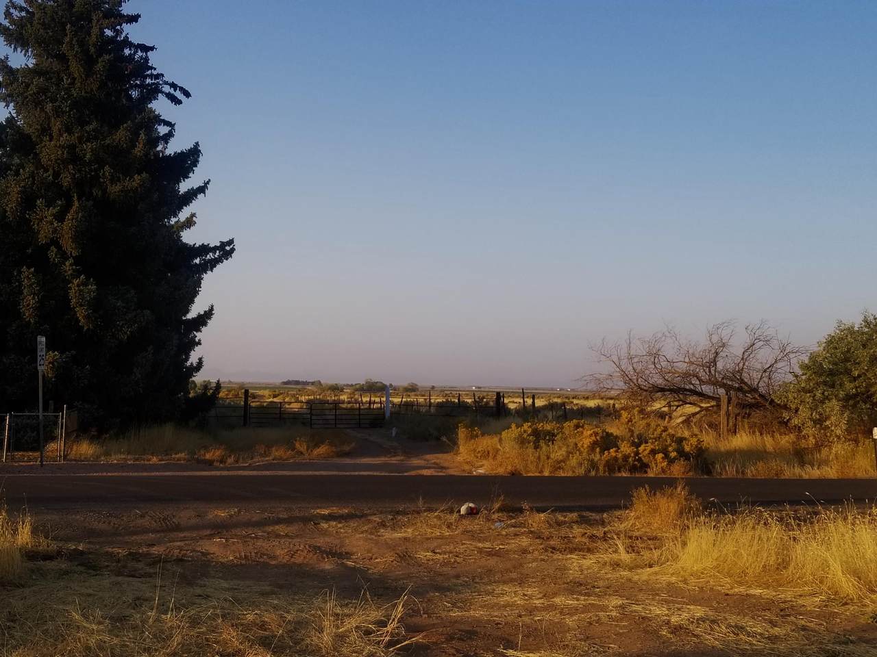 100 - Photo 1