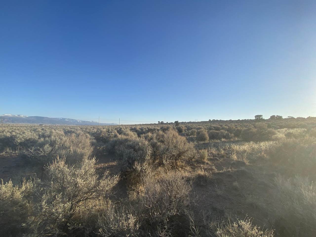 6983 4200 - Photo 1