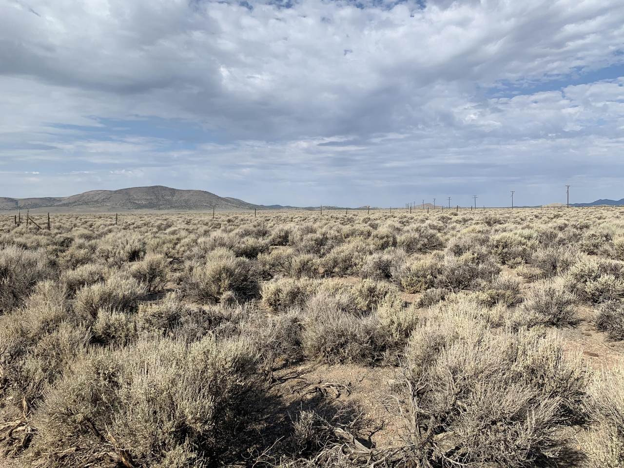 E-1710-0001-0001 - Photo 1